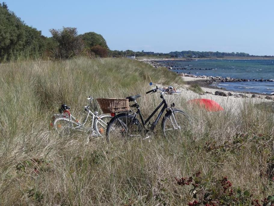 Inselidylle Villa Kunterbunt Fehmarn Exteriör bild
