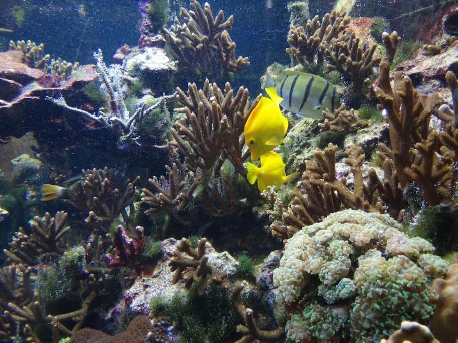 Inselidylle Villa Kunterbunt Fehmarn Exteriör bild